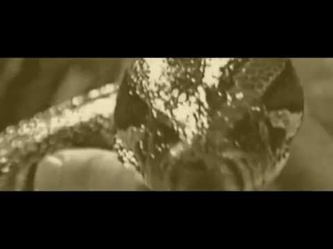 EliteMania 11: Vance Archer vs Jake The Hardcore Snake Promo