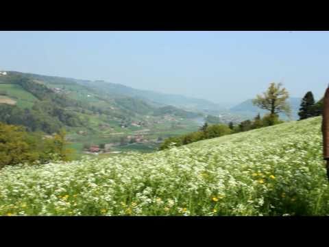 Die Geburt der Hoffnung (Teil 5 von 5)