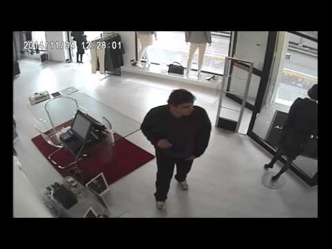 Furto all'interno di un negozio di pisa