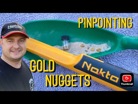 The Nokta ACCUPOINT Detects small GOLD Nuggets