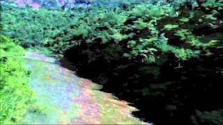Coming Home - Cinderella (Lyrics) - YouTube