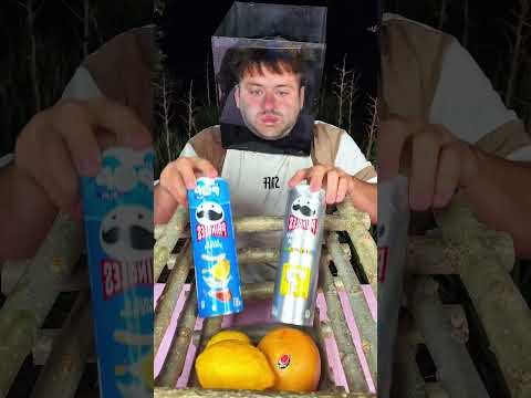 No Free Snacks for Animals Anymore 😁🦊