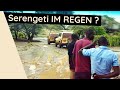 SERENGETI Safari Vlog Tanzania Safari Part 2