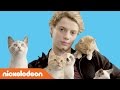 Rufus 2: Jace Norman Loves Kittens | Nick