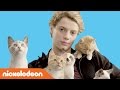 Rufus 2 Jace Norman Loves Kittens Nick