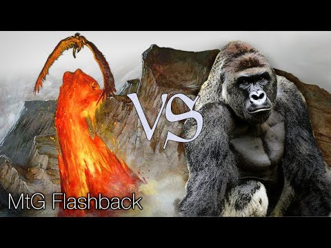 MtG Modern Flashback Episode 33 - Seismic Swans VS Harambe's Revenge