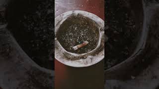 Download lagu story wa rokok surya 🚬 mp3