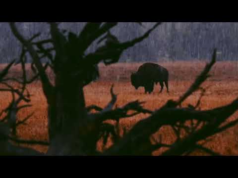 El Toro - Don Brubaker