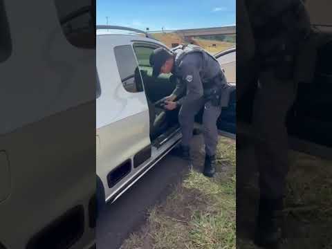 Polícia Rodoviária prende homem com pistola 9mm e munições em Monte Aprazível