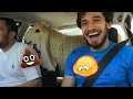 Bought A Dumba And It Pooped In Our Car Bakra Eid 2021