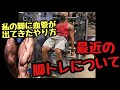 最近の脚トレについて語ってみる。四頭もいいけどハムケツが勝負を決すると感じる。