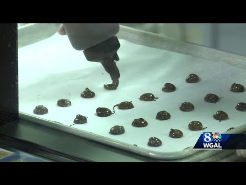 download lagu mp3 mp4 Wilbur Buds Dark Chocolate, download lagu Wilbur Buds Dark Chocolate gratis, unduh video klip Wilbur Buds Dark Chocolate