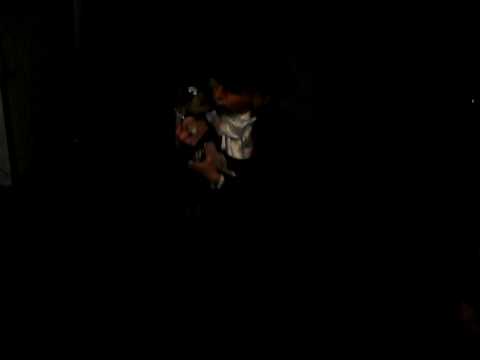 Daniel DiCriscio and "Pirate Pooch" do a Photo Shoot at "Count Fluffula" Event!