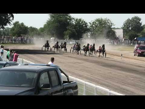 Trka "Ergela Kelebija" 27.07.2019 Halydar - Stevan Sič St.