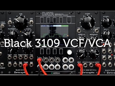 Erica Synths Black 3109 VCA VCF Eurorack Module image 6