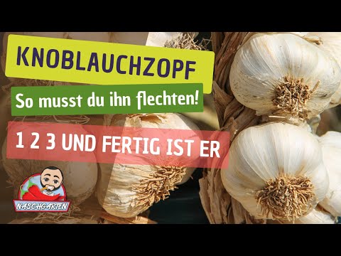 , title : '🧄 Knoblauchzopf 🧄 flechten leicht gemacht / Anleitung / Knoblauch trocknen / Knoblauch lagern'