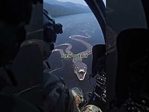 Joe Rogan Reveals Scariest Anaconda Story