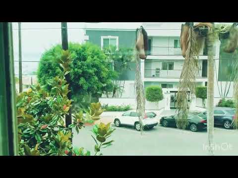 Juniper property video