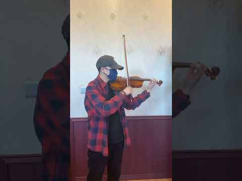 Professional Stradivari Model Violin Outfit 4/4 Handmade European Tonewood image 6
