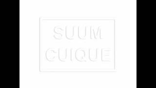 Suum Cuique-Lithic Reduction