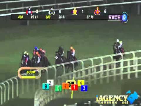 SINGAPORE RACE 17/01/2014 RACE 5 - iAgencynet.com