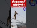 गिरते बाजार में मंकी स्ट्रैटेजी BearMarket Sto