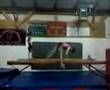Gymnastics Wipe Out