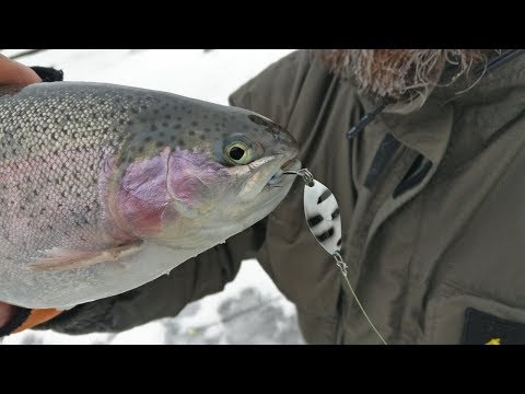 Отнял секретную блесну и вот что из этого вышло...Ловля форели.