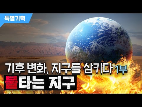 [특별기획] 『기후 변화, 지구를 삼키다』 1부. 불타는 지구 / YTN 사이언스