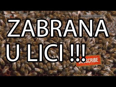 Strašno. Ličani brane pčelarima iz Dalmacije dovoz pčela.