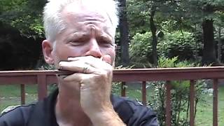 Hohner Marine Band harmonica testimonial