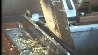 The Monk and the Honeybee Part 3-5