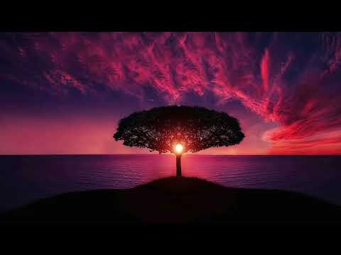 Lembra De Mim (I.Lins) - Mino Lanzieri feat. Reuben Rogers and Solis String quartet