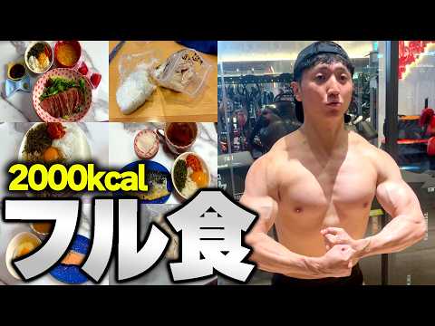 [Week 1 of Diet] Showing my full day of fat-loss meals [Strength Training][Korochiki Nishino]