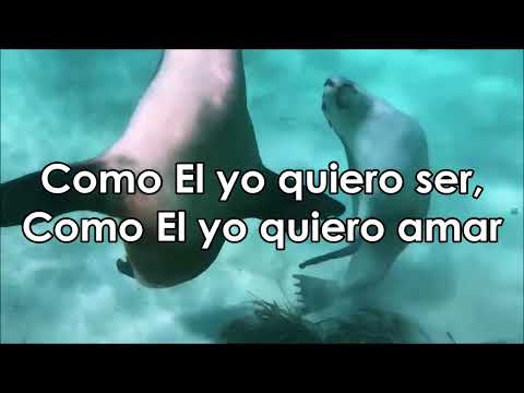 Como El Yo Quiero Ser - Armando Flores