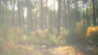 All Saints Day - By Carrie Newcomer