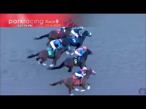 Dixie Serenade PARX Nov 4