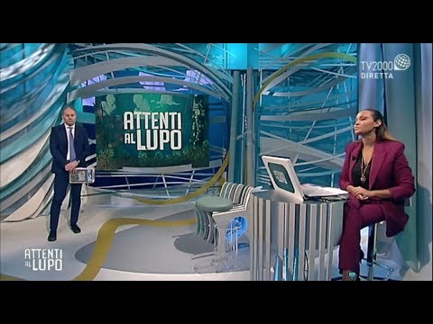 Attenti al Lupo del 20 marzo 2020 - Le novità del decreto "cura Italia"