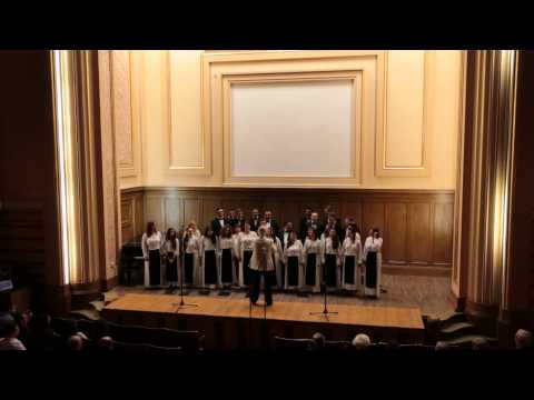 Cantores Amicitiae - Ofranda copiilor lumii 2014