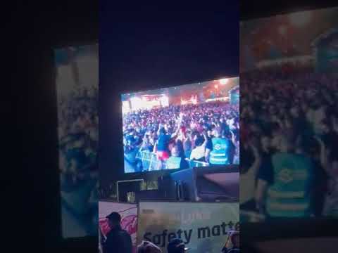 257ers (Captain Jack) Live @elakechannel 2022 Echternach