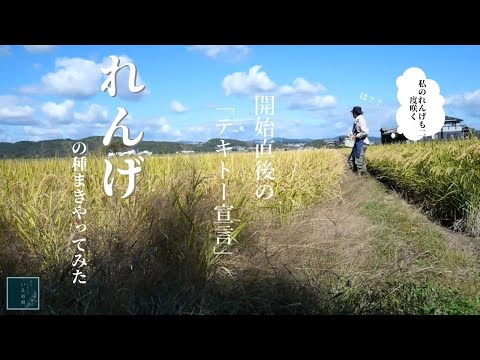 本物の獣医レンゲ 植物