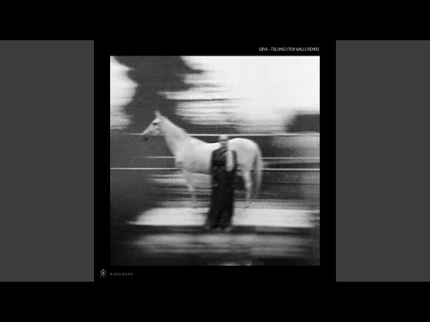 Tolumoj (Ten Walls Remix)