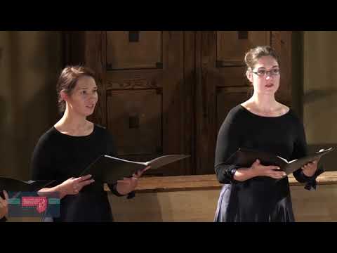 XX Lietuvos aukštųjų mokyklų studentų chorų festivalis 2018: VU KnF merginų choras „Veni gaudere“