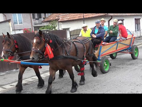 Parada cailor Gilau, Cluj 10 Iunie 2022 Nou!!!