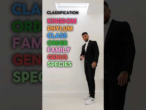 Classification Naming System - Biology Class 🤯