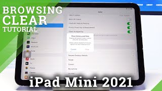 How to Clear Browsing Data on iPad Mini 2021 – Remove Browsing History
