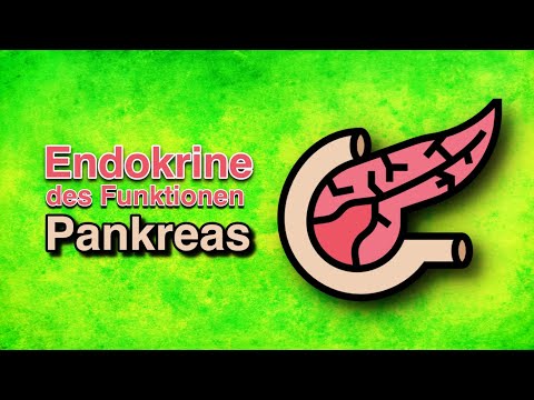 Endokrine Funktionen des Pankreas