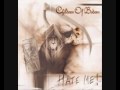Children Of Bodom - Hate Me! [Lyrics] 