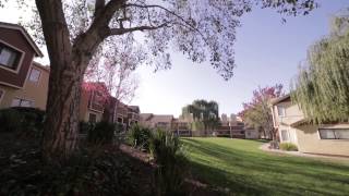 preview picture of video 'Belmont Apartment Homes for rent in Pittsburg, CA - Fairfield Residential'