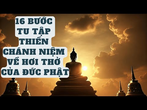16 Bước Tu Tập Thiền Chánh Niệm Về Hơi Thở Của Đức Phật | Sách Tri Thức